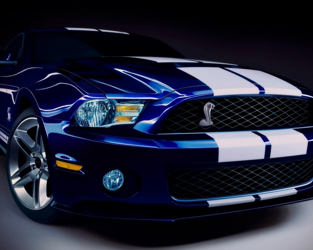 Ford Shelby GT500