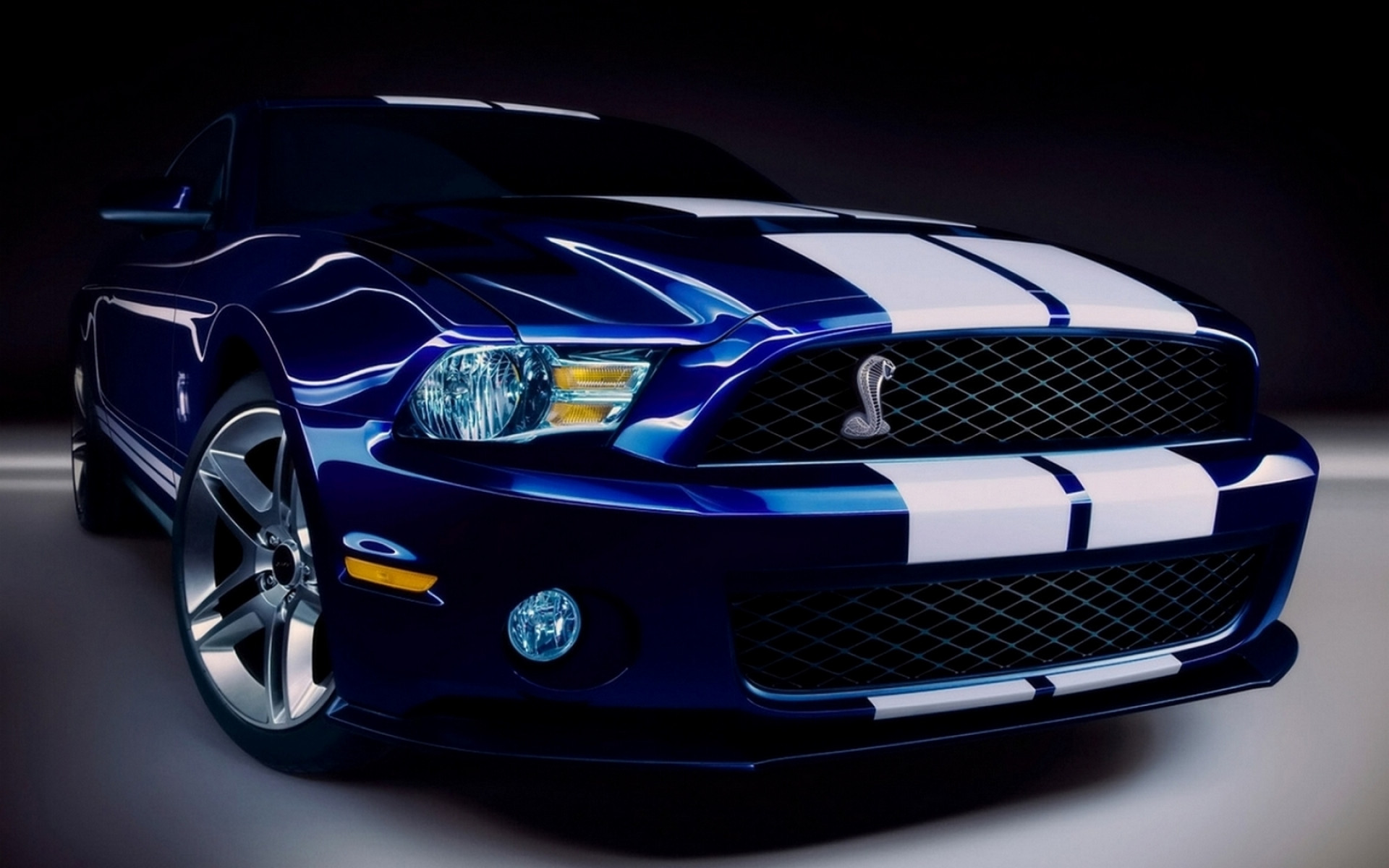 Ford Shelby GT500