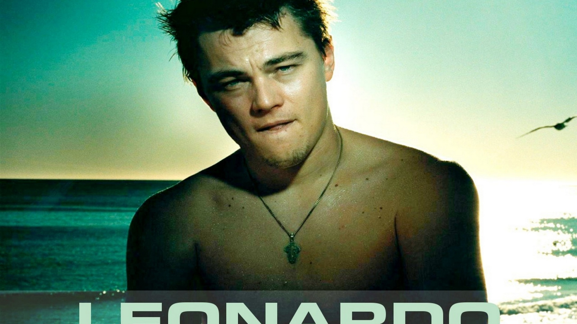 Leonardo Dicaprio