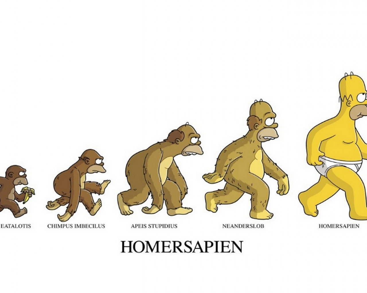 Homersapien