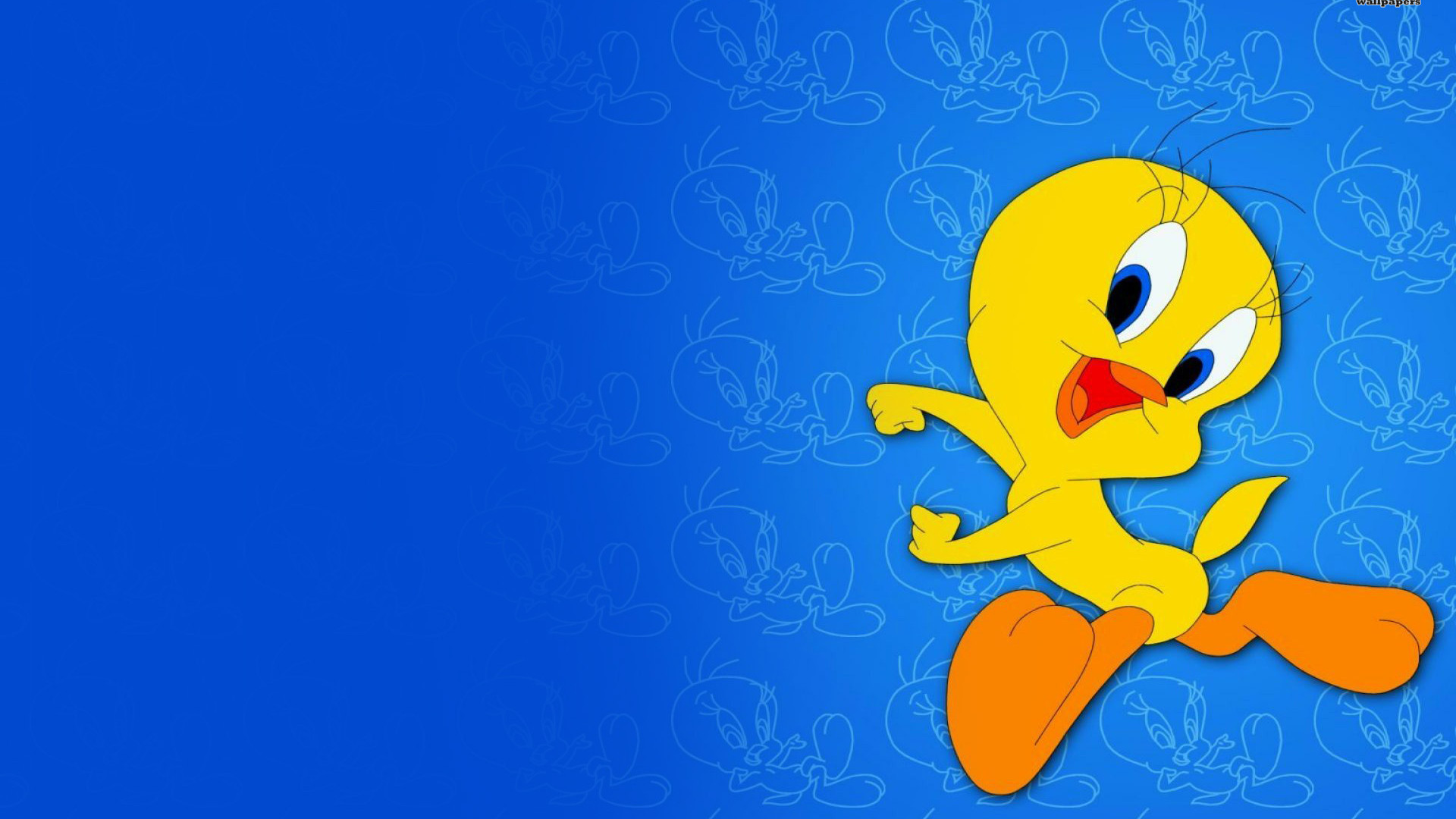 Tweety - Looney tunes