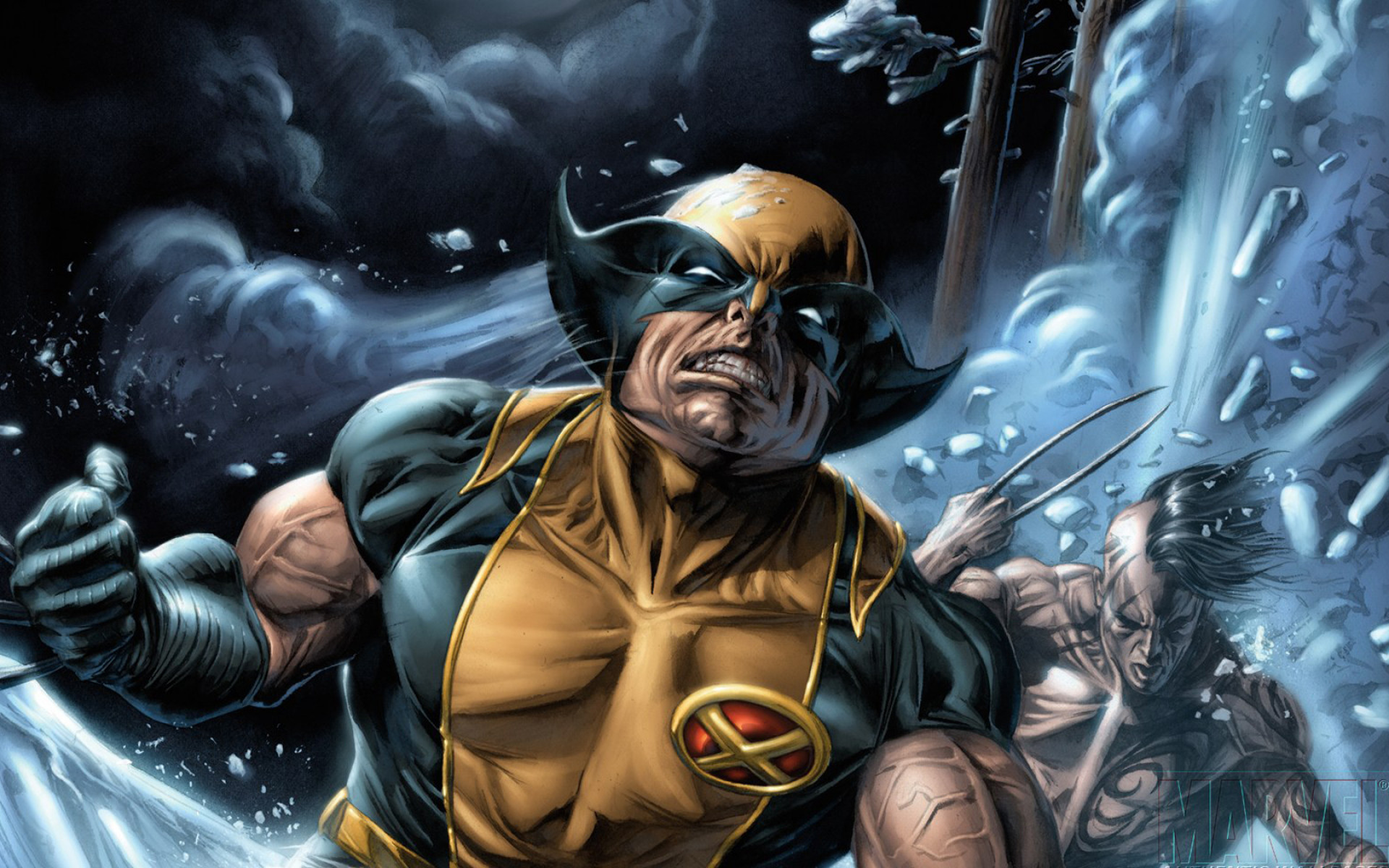 Wolverine Origins