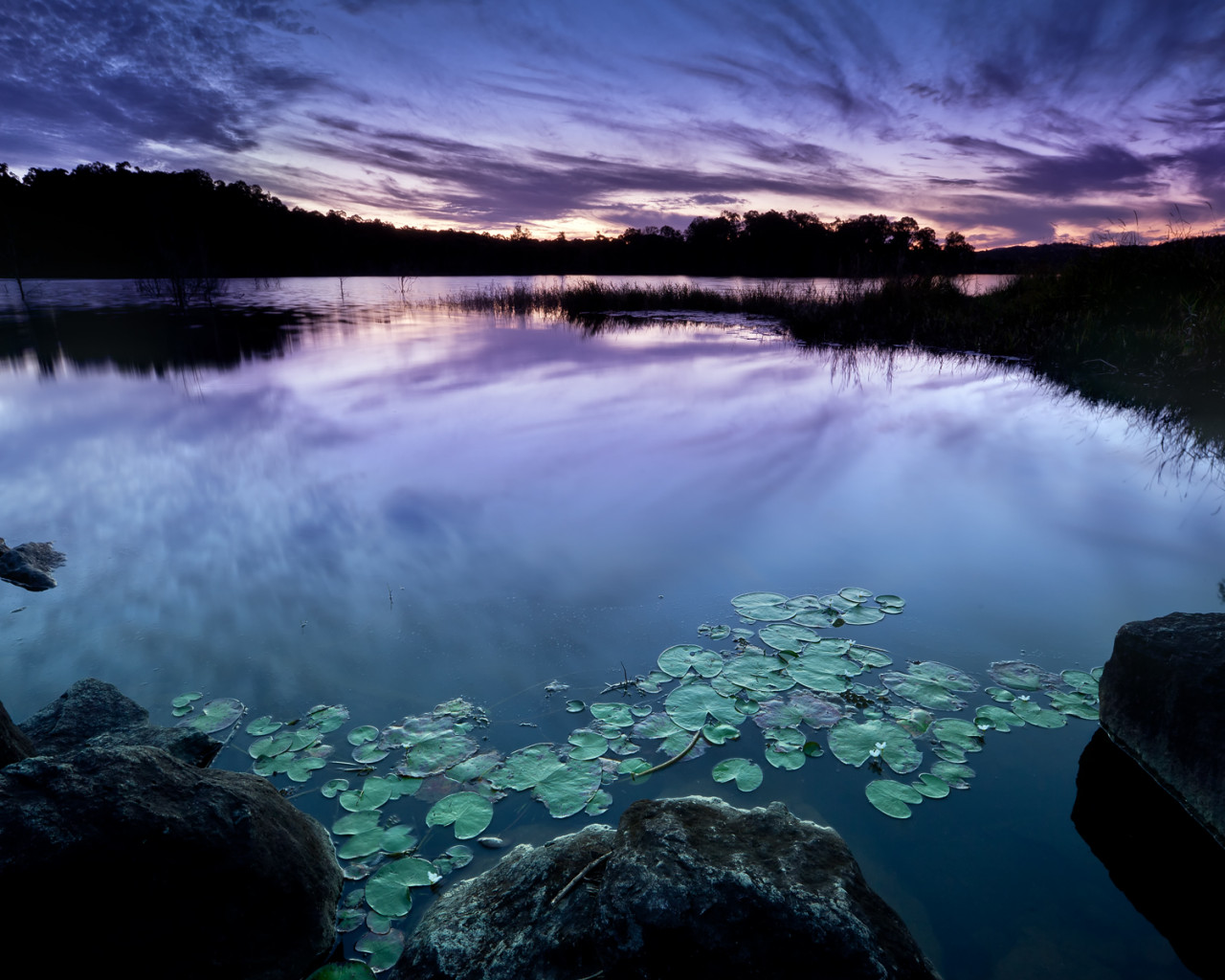 A las orillas de un lago