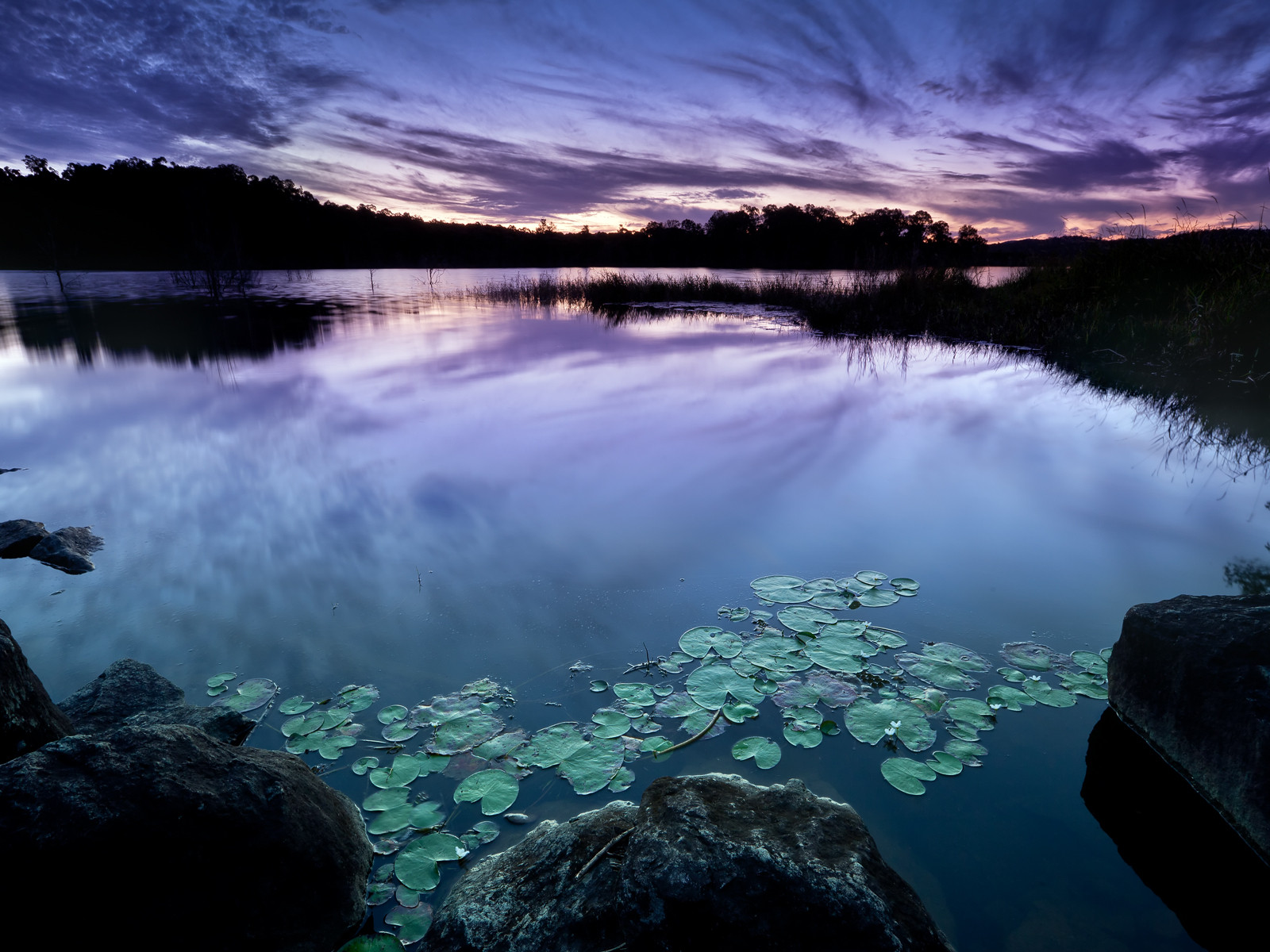 A las orillas de un lago