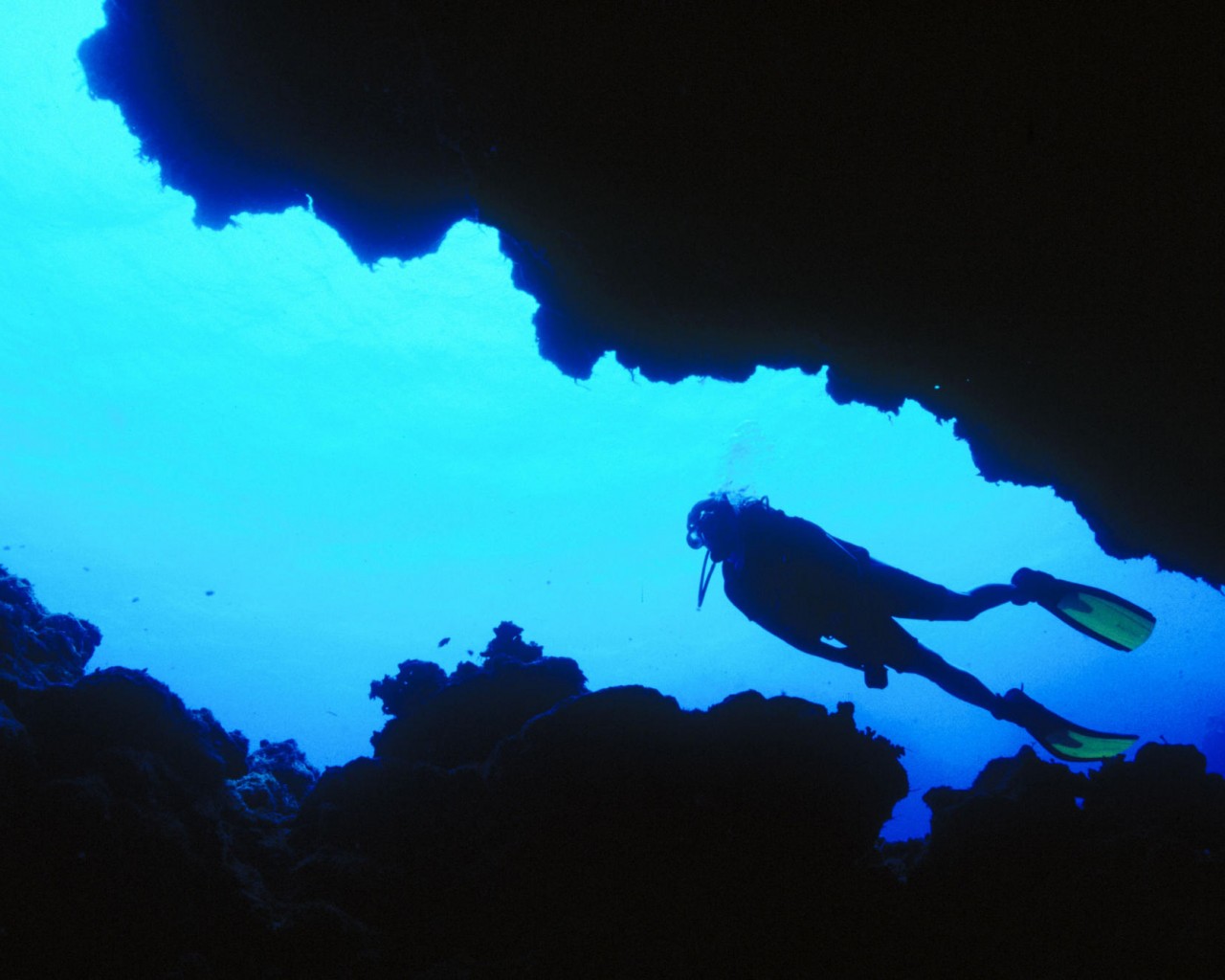 Explorando el océano