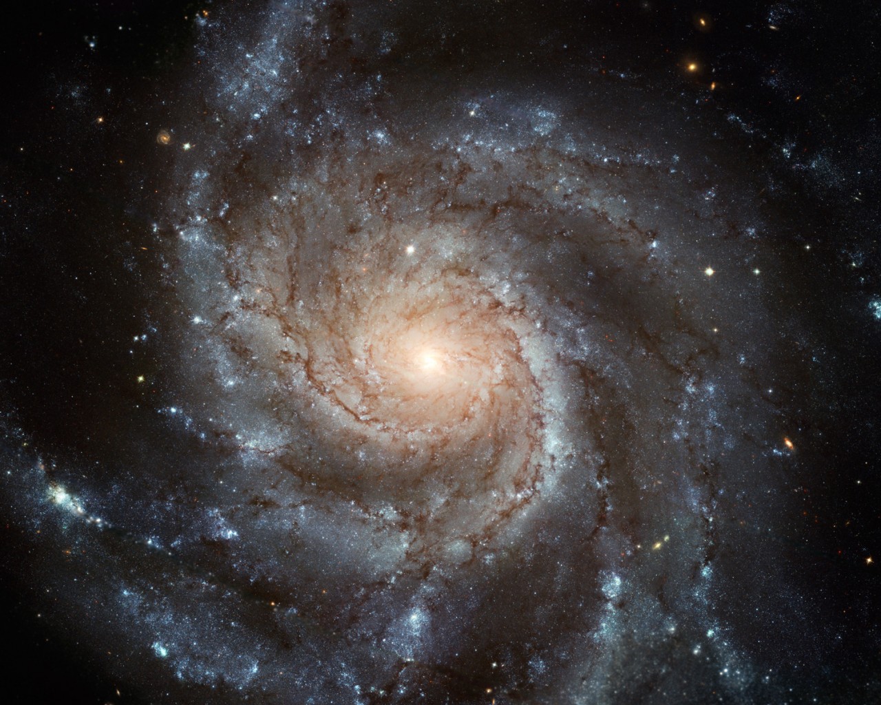 Galaxia espiral