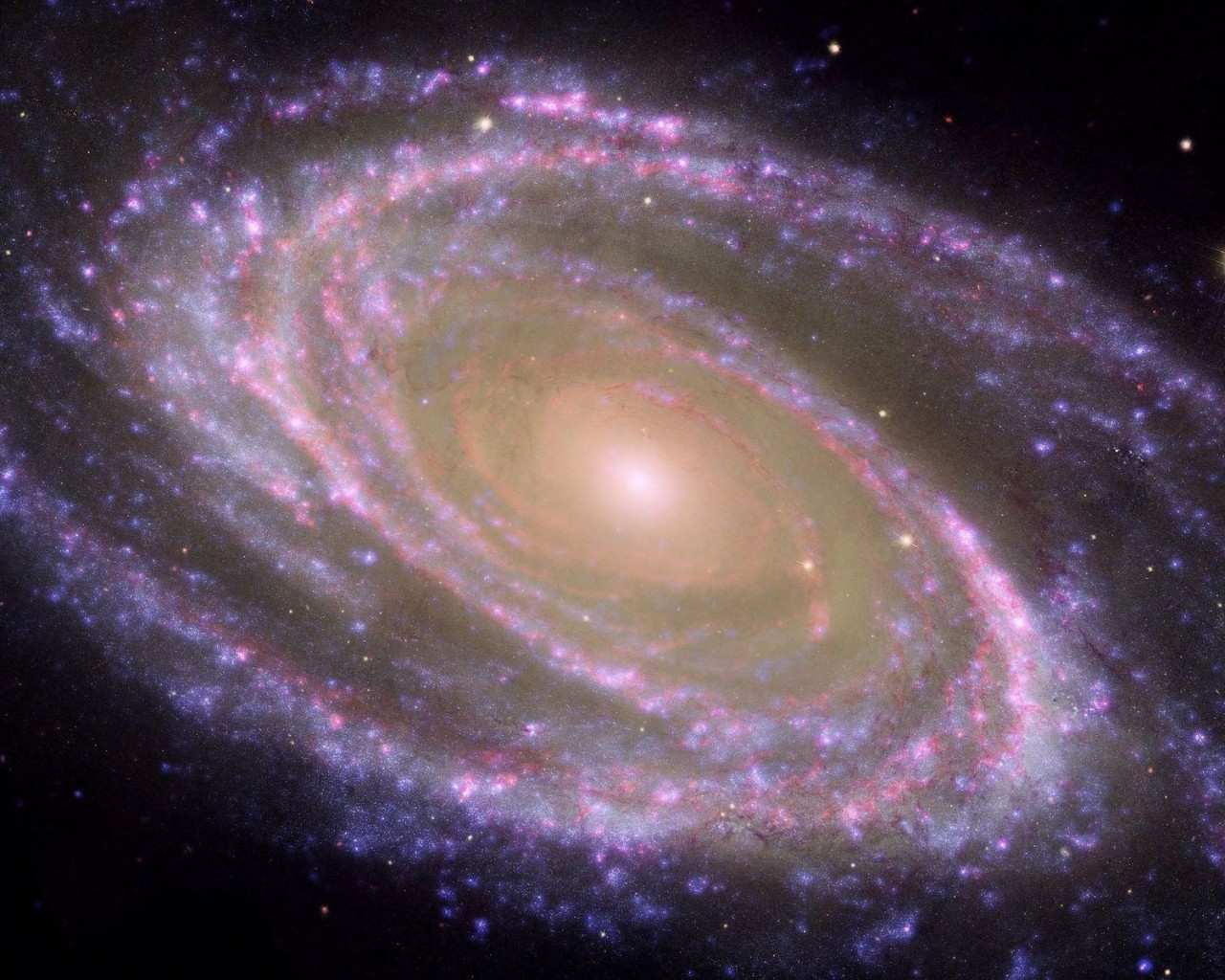 Messier 81