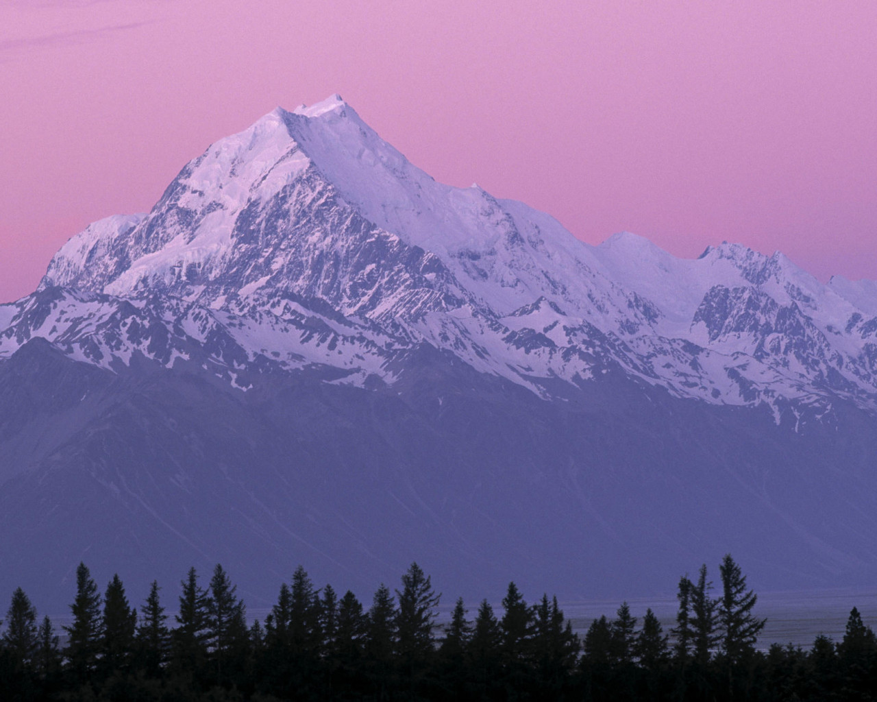 Monte Cook, Nueva Zelanda