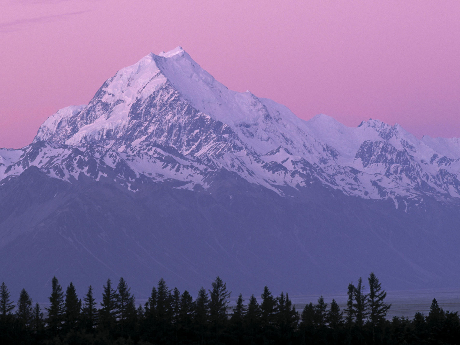 Monte Cook, Nueva Zelanda