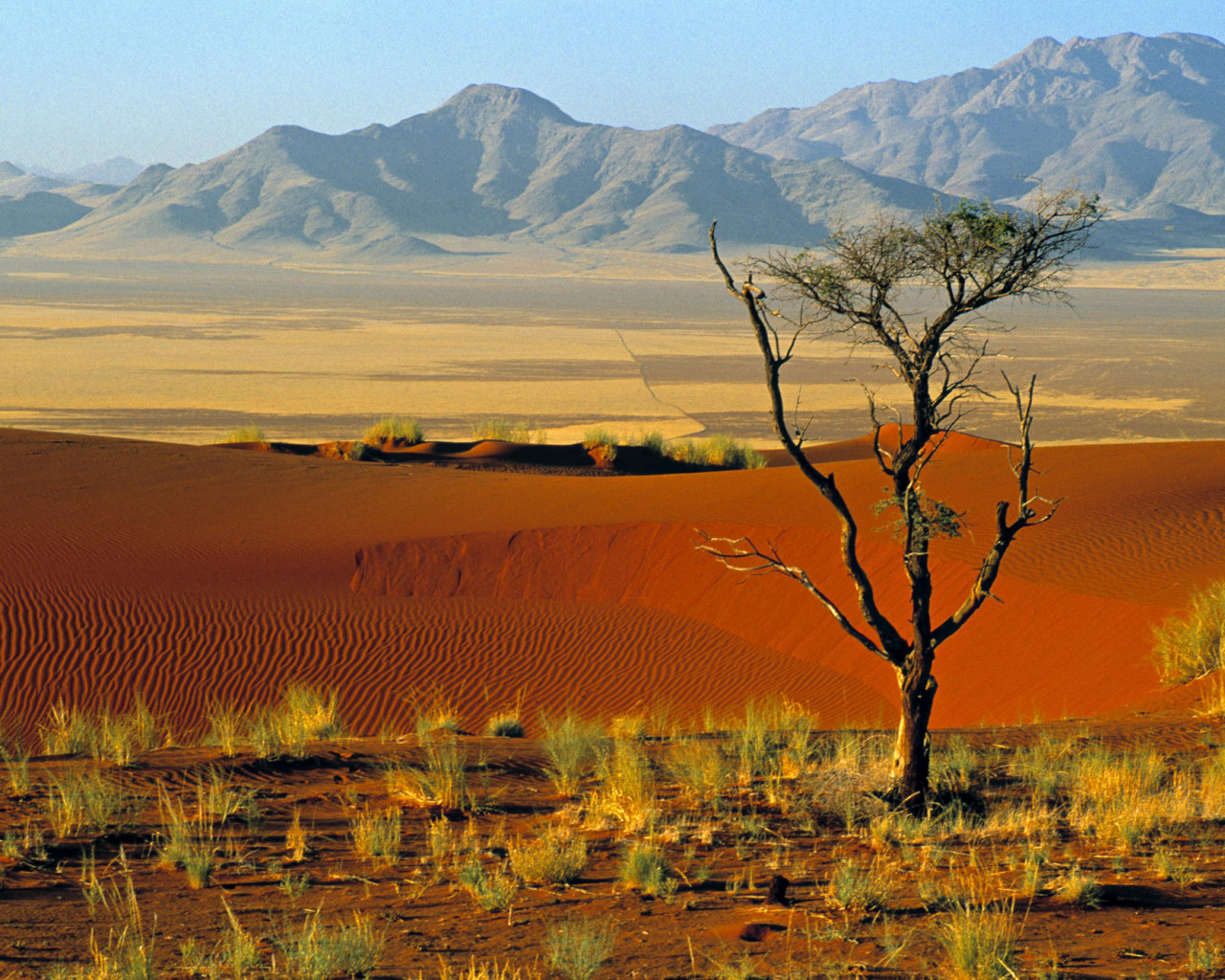 Reserva Natural Namibrand, Africa