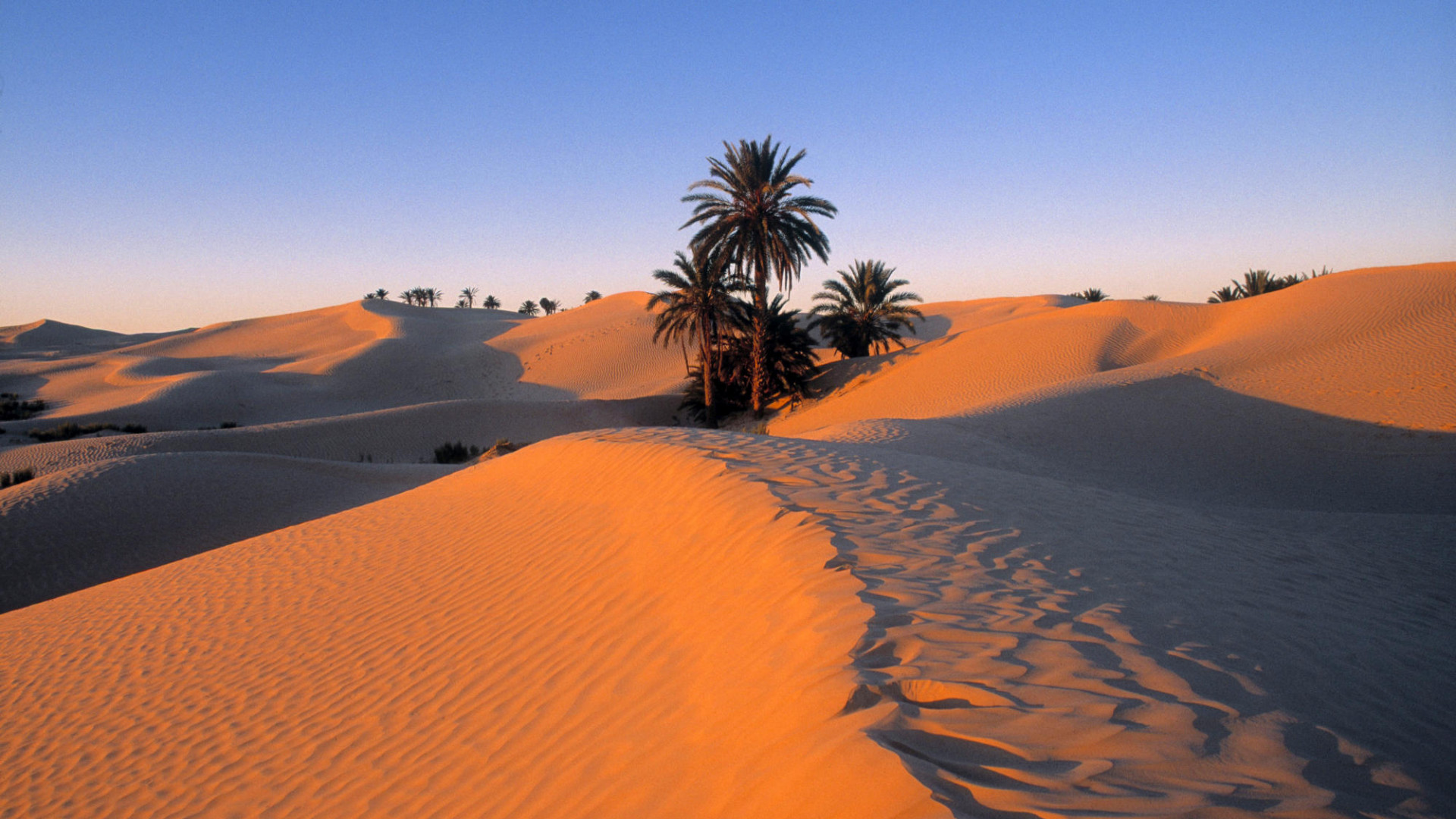 El Desierto de Sahara