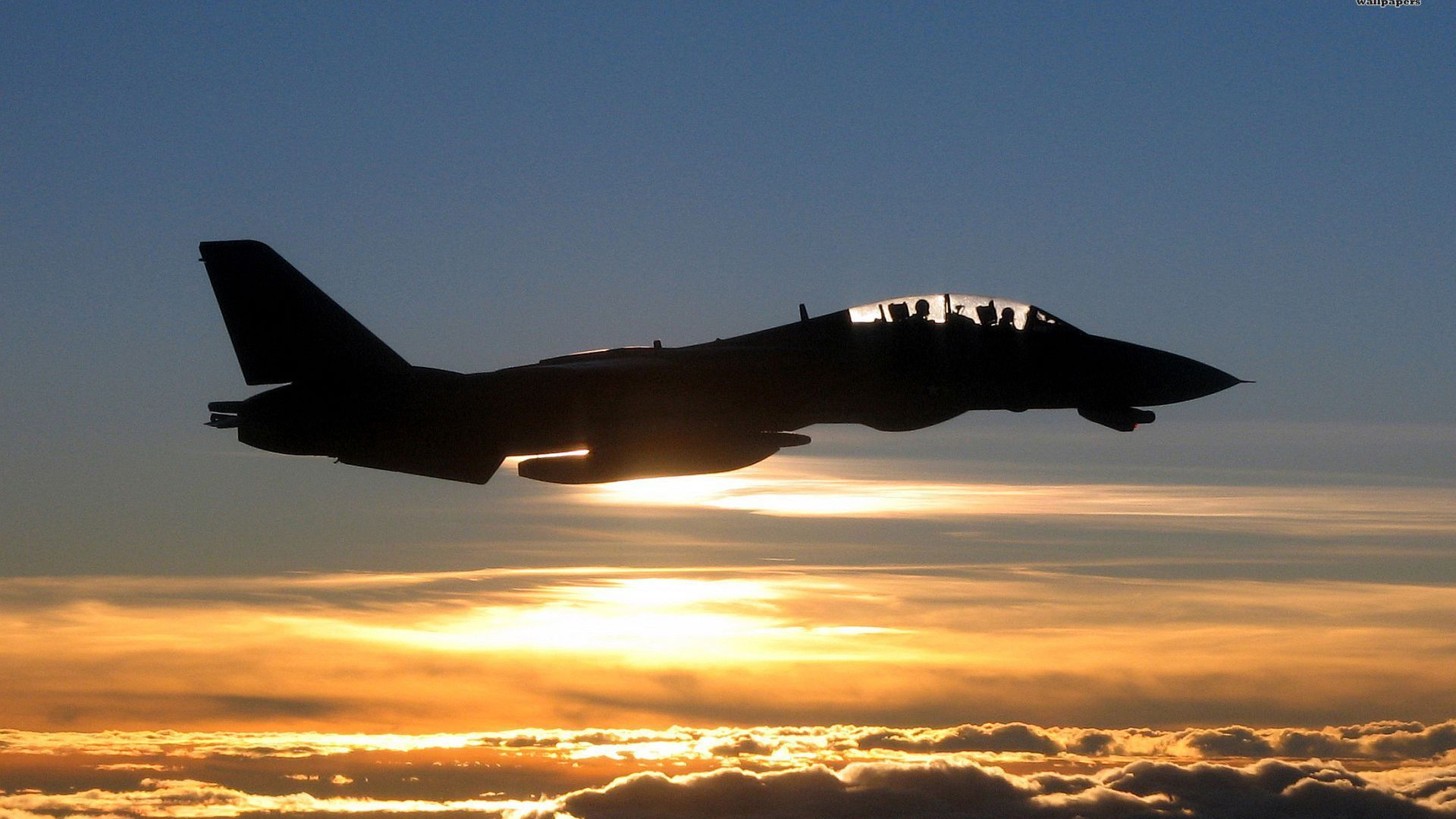 Grumman F-14 Tomcat