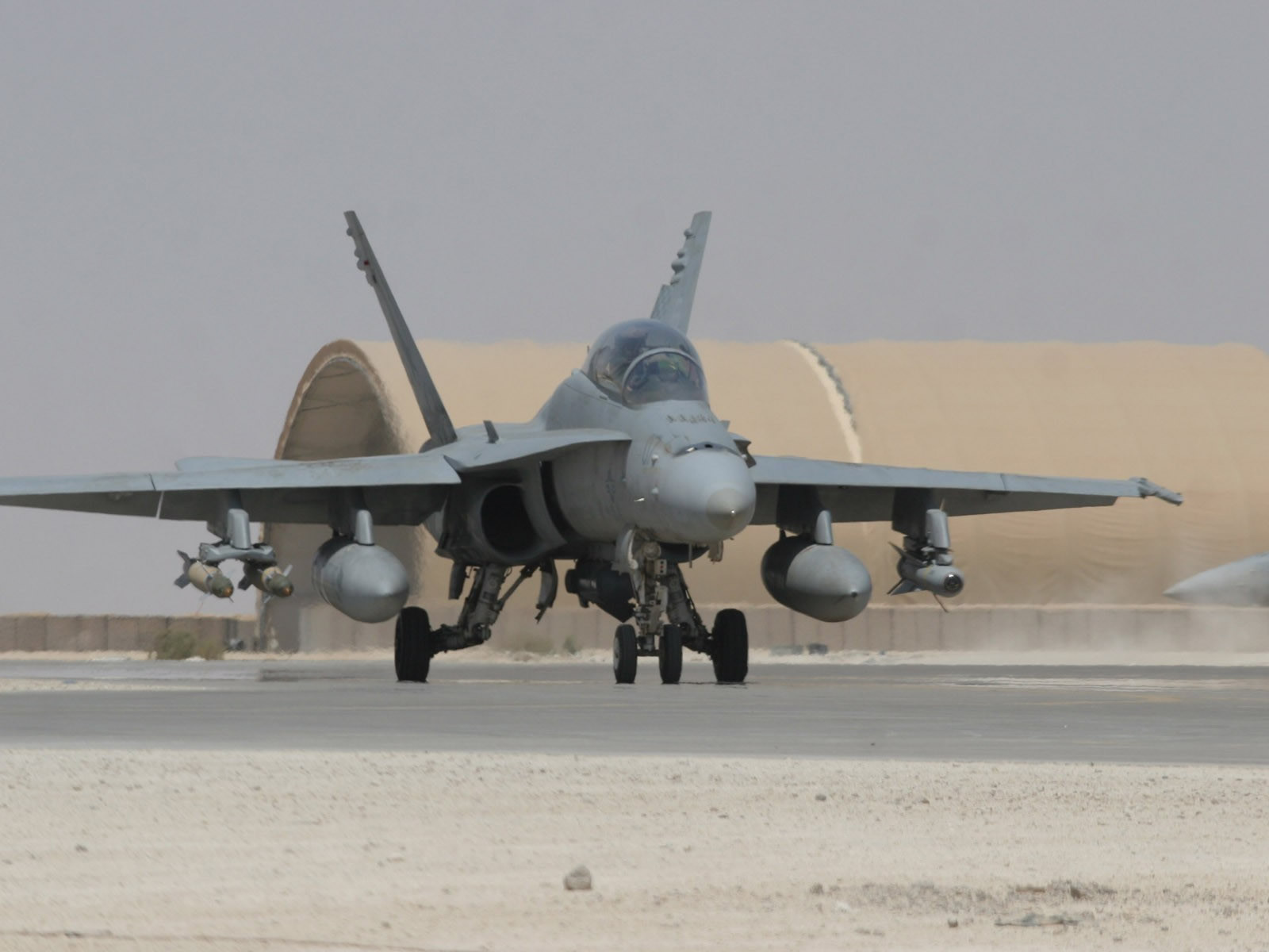 Mcdonell Douglas F-18 Hornet