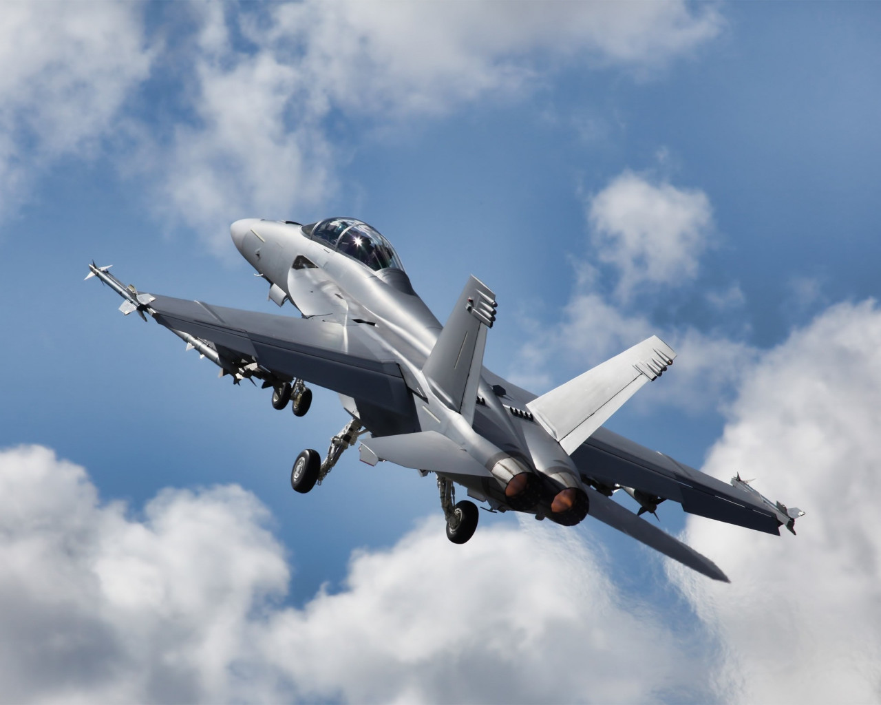 Macdonnel Douglas FA-18 Hornet