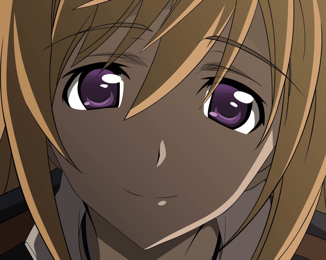 Charlotte Dunois - Infinite Stratos 2