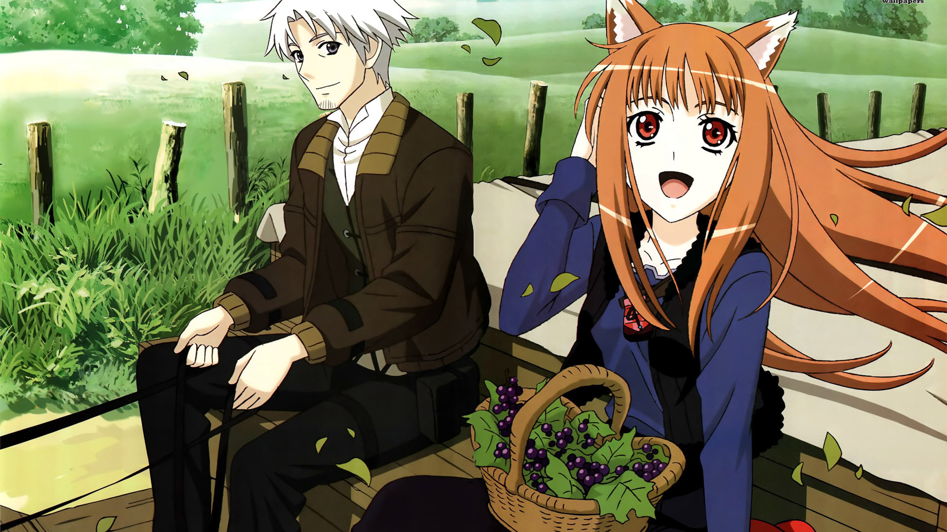 kraft lawrence y holo - Spice Wolf