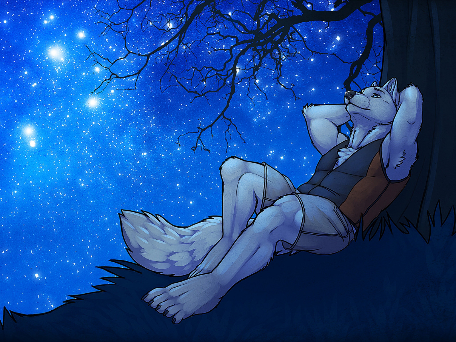 Hombre lobo romántico mirando el cielo estrellado