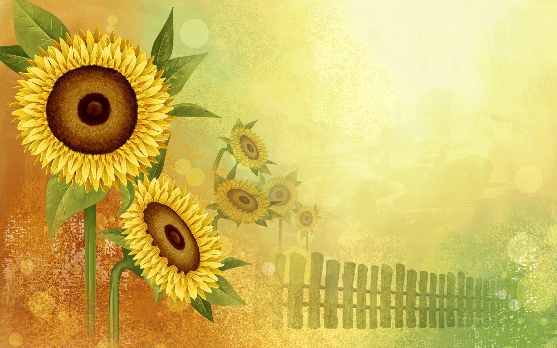 Girasoles