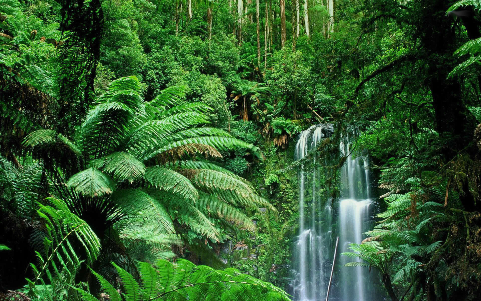 Beauchamp falls