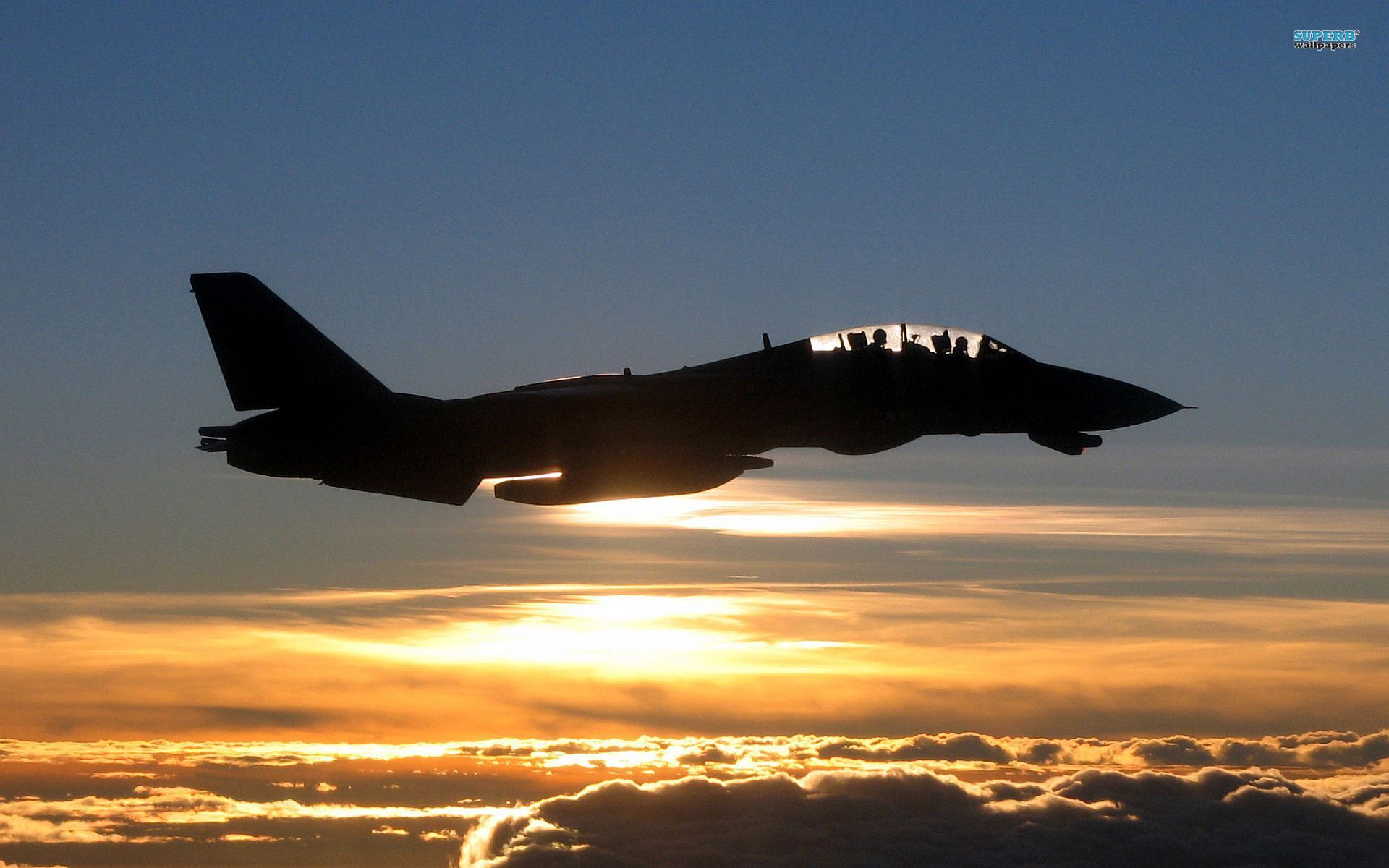 Grumman F-14 Tomcat