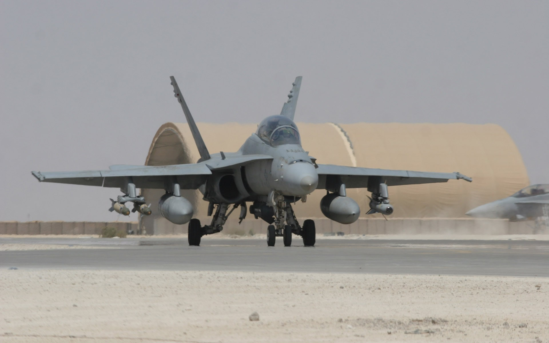 Mcdonell Douglas F-18 Hornet