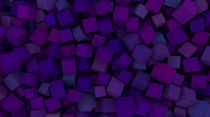 Cubos purpura