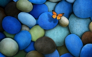 Mariposa virrey en piedras azules