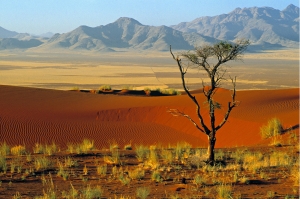 Reserva Natural Namibrand, Africa