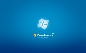 Windows Seven Professional Edition