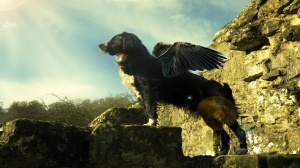 El perro con alas